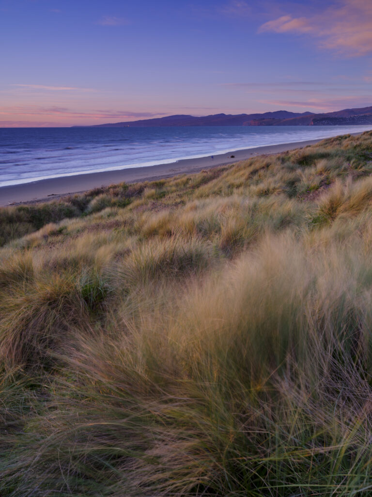New Zealand, Christchurch, New South Brighton. New South Brighton photographed at sunrise.