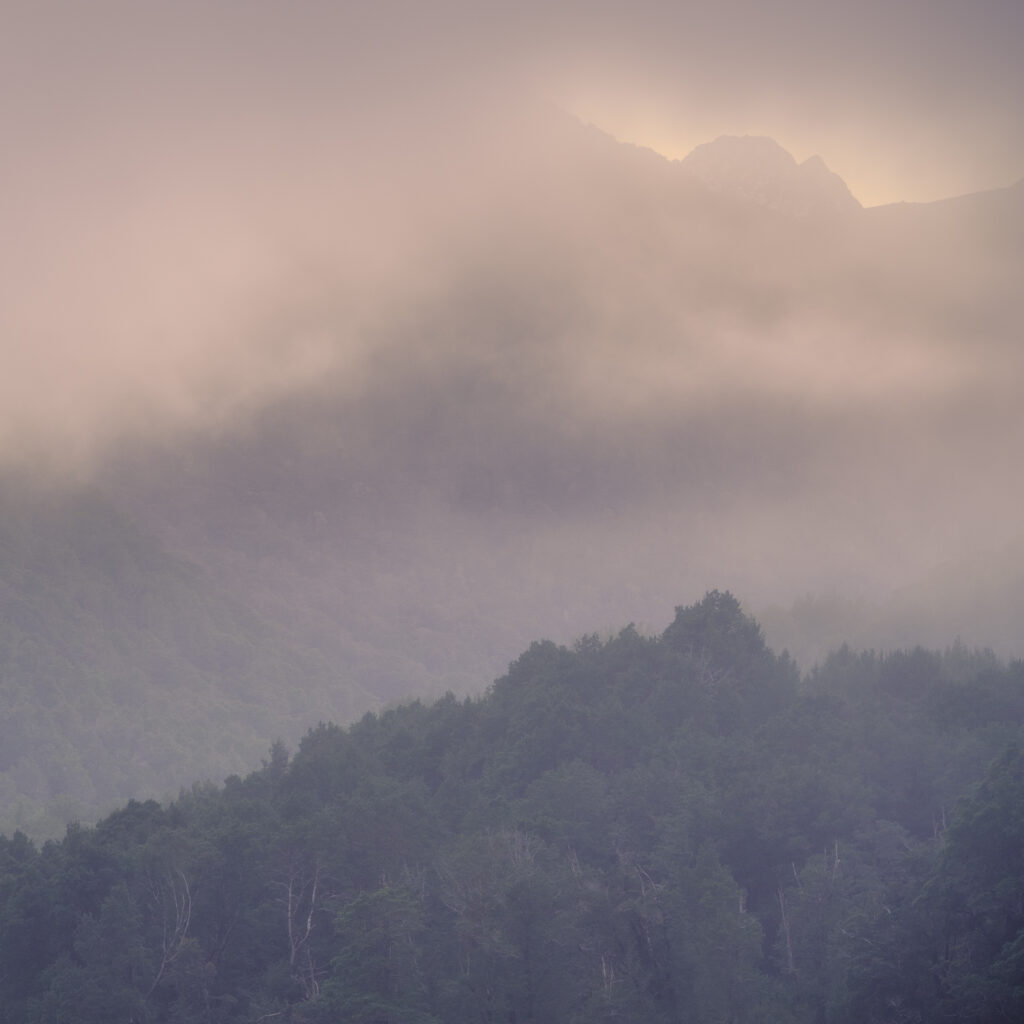 New Zealand, South Island, Fiordland National Park. Clearing mist above native woodland in Eglinton Valley in Fiordland National Park.