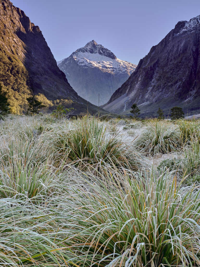 New Zealand, Southland, Fiordland National Park. A frosty autumn morning in the Cleddau Valley on the Milford Road.