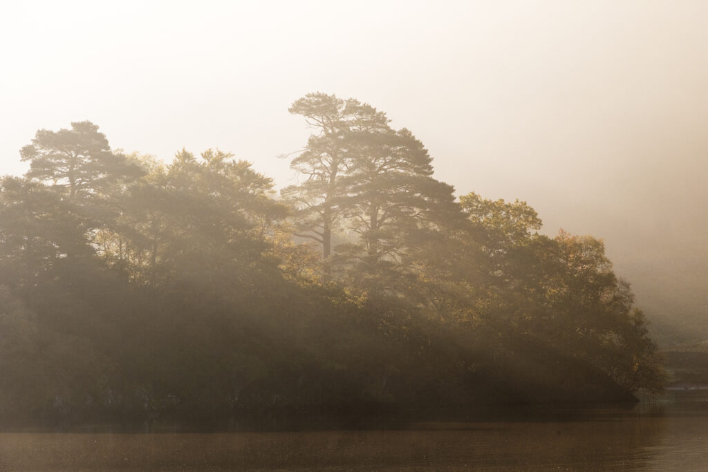 England, Cumbria, Lake District National Park. Morning mist at woodland near Rydal Water, on a still autumn day.