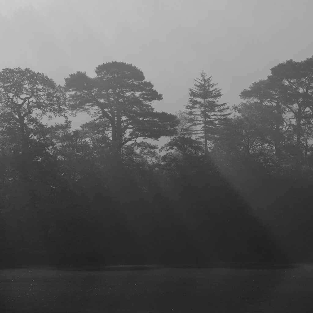 England, Cumbria, Lake District National Park. Morning mist at woodland near Rydal Water, on a still autumn day.