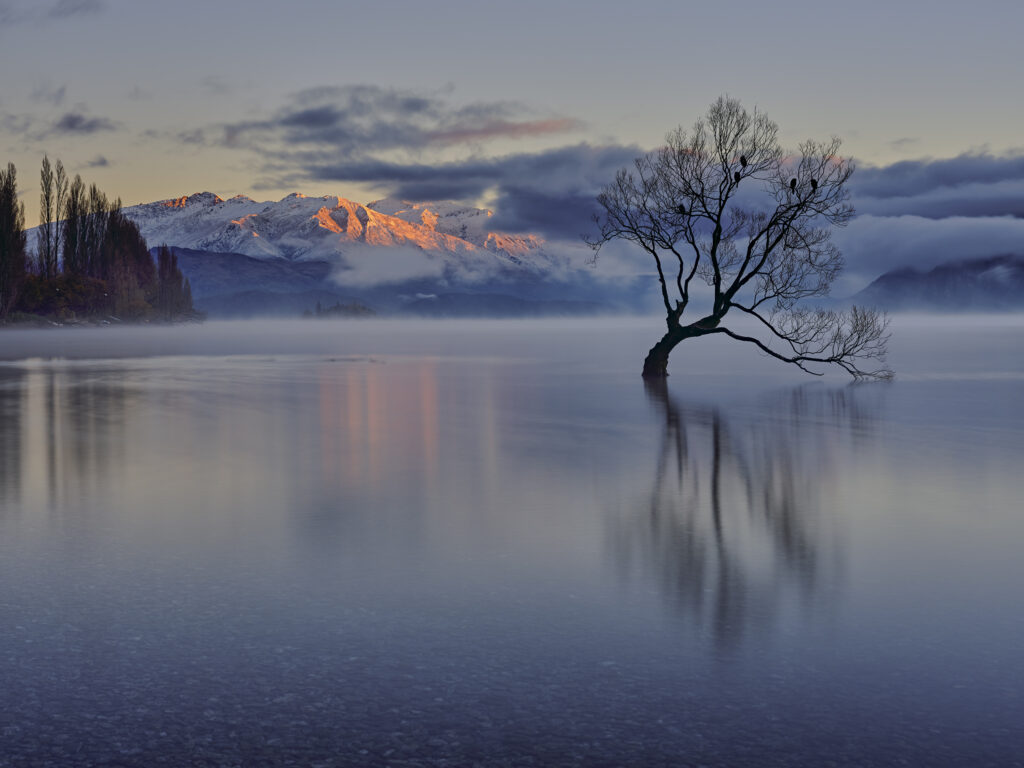 New Zealand, Otago, Lake Wanaka. Mist rising at dawn on an autumn morning at the Wanaka Tree at Lake Wanaka.