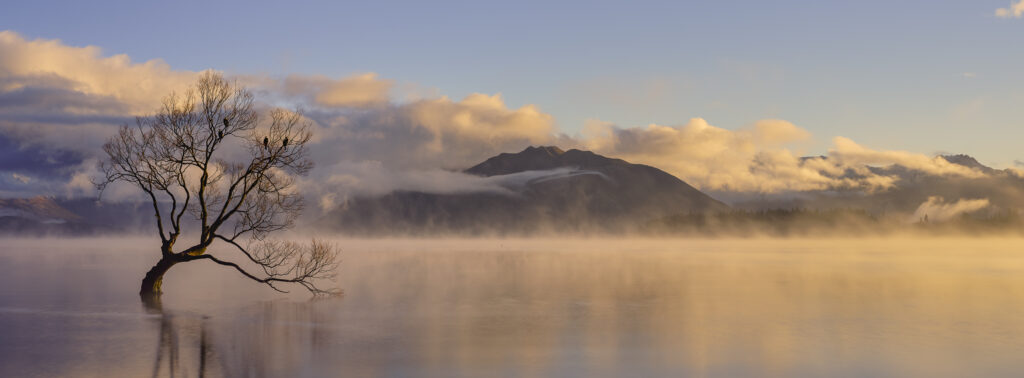 New Zealand, Otago, Lake Wanaka. Mist rising at dawn on an autumn morning at the Wanaka Tree at Lake Wanaka.