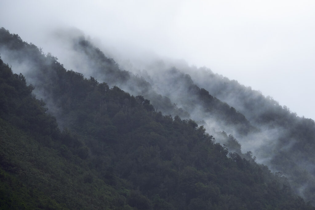 New Zealand, Westland, Westland National Park. Rain clouds hug the peaks of the glacial valley and river downstream of the Franz Josef Glacier.