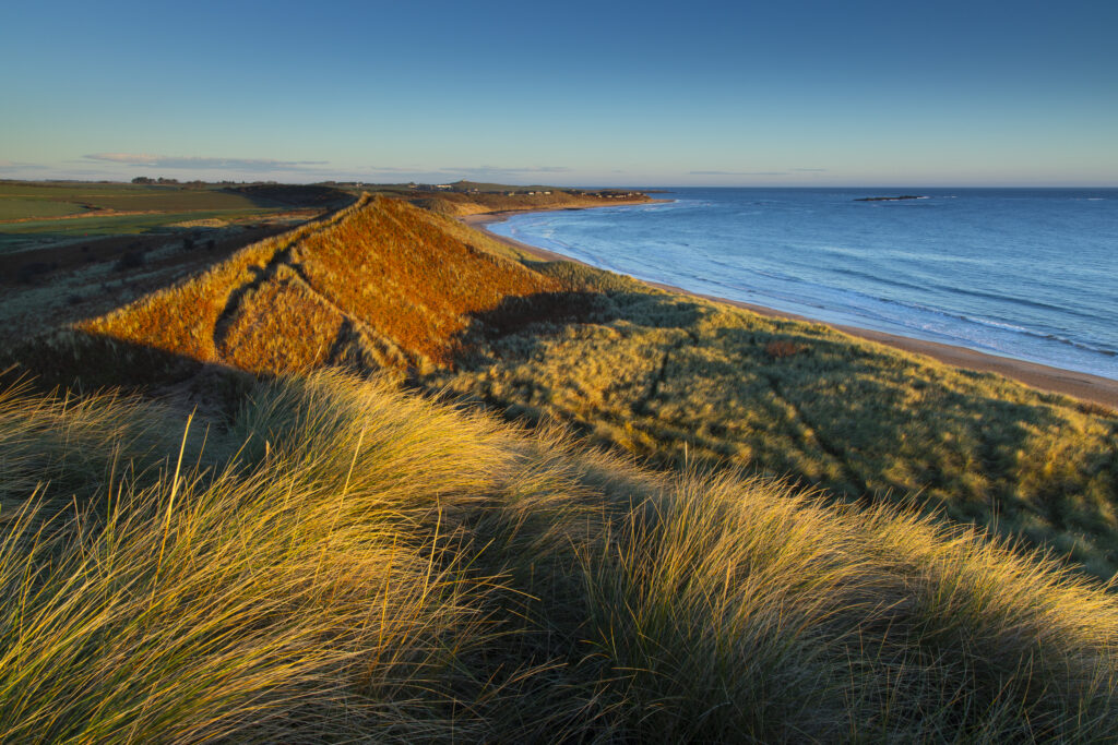England, Northumberland, Embleton Bay. Early morning sun on the impressive sand dunes at Embleton Bay, north of Dunstanburgh Castle.