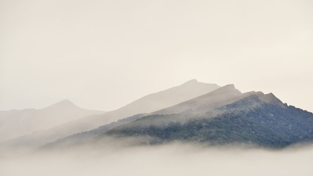 New Zealand, South Island, Fiordland National Park. Morning mist over the mountain peaks of the Fiordland National Park, viewed from the Milford Road.