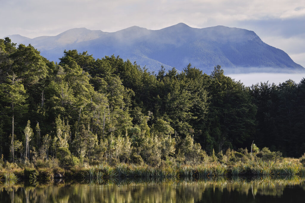 New Zealand, South Island, Fiordland National Park. Lake Mistletoe, a popular short walk from the milford road in Fiordland near Te Anau.