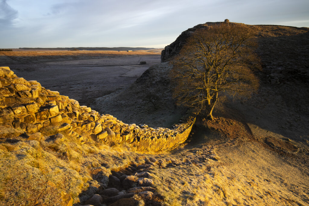 England, Northumberland, Hadrians Wall. Early monring at Sycamore Gap on Hadrian's Wall.