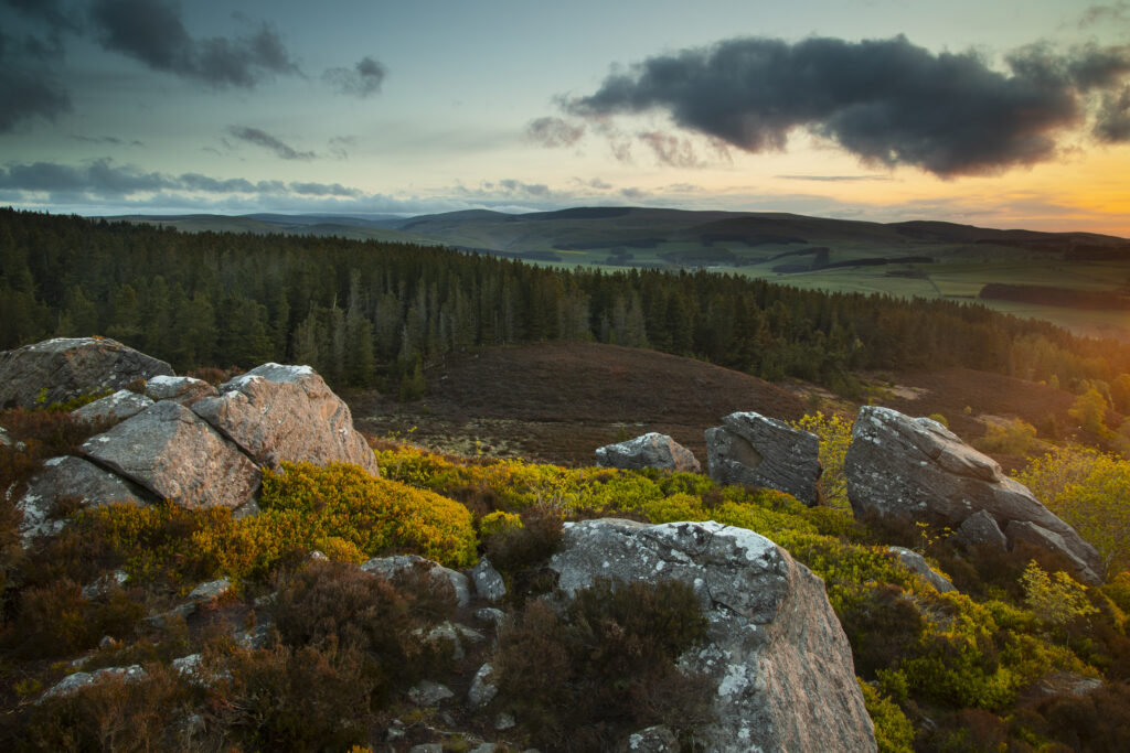 England, Northumberland, Northumberland National Park. View at dawn looking from the The Drake Stone towards Harbottle