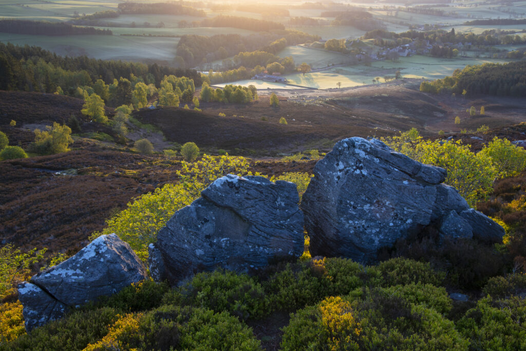 England, Northumberland, Northumberland National Park. View at dawn looking from the The Drake Stone towards Harbottle