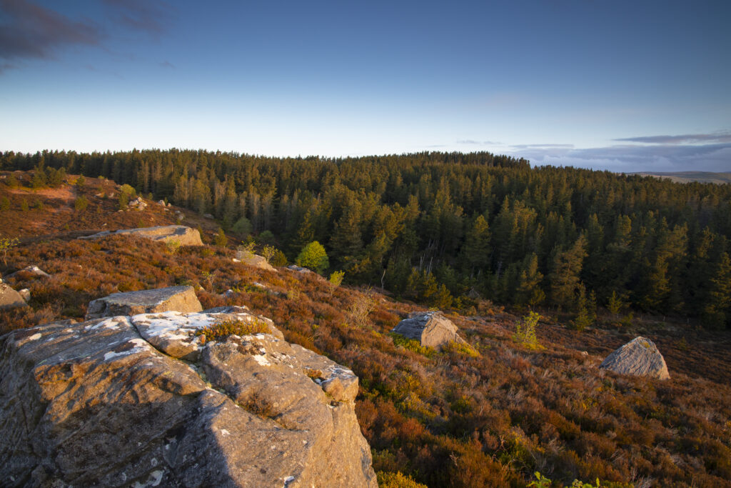 England, Northumberland, Northumberland National Park. View at dawn looking from the The Drake Stone towards Harbottle