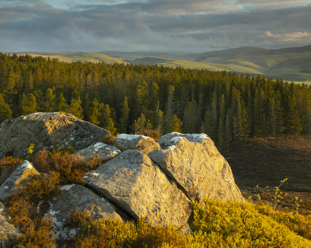 England, Northumberland, Northumberland National Park. View at dawn looking from the The Drake Stone towards Harbottle