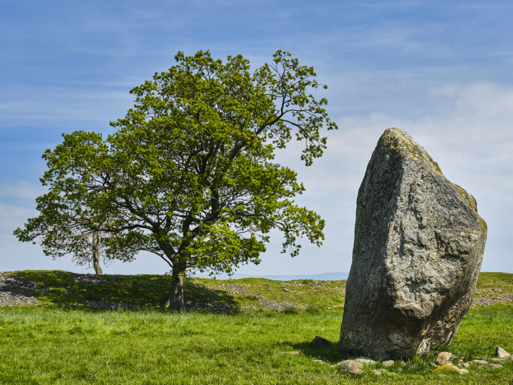 England, Cumbria, Mayburgh Henge. Standing stone and Neolithic henge near Penrith.