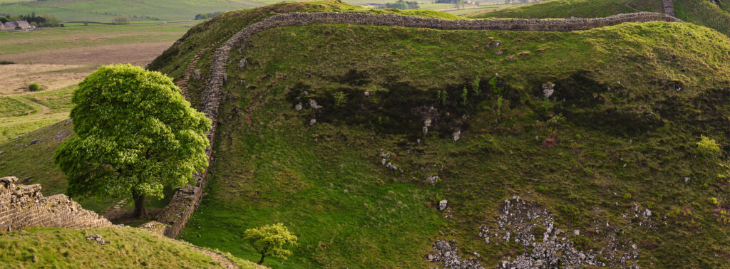 England, Northumberland, Northumberland National Park. Panoramic view of Sycamore Gap, a famous landmark along Hadrian's Wall.