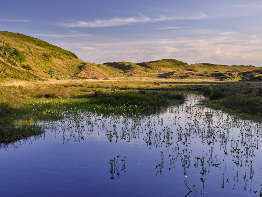 England, Cumbria, Lake District National Park. Torver Common near Beacon Tarn and the Beacon Fell.