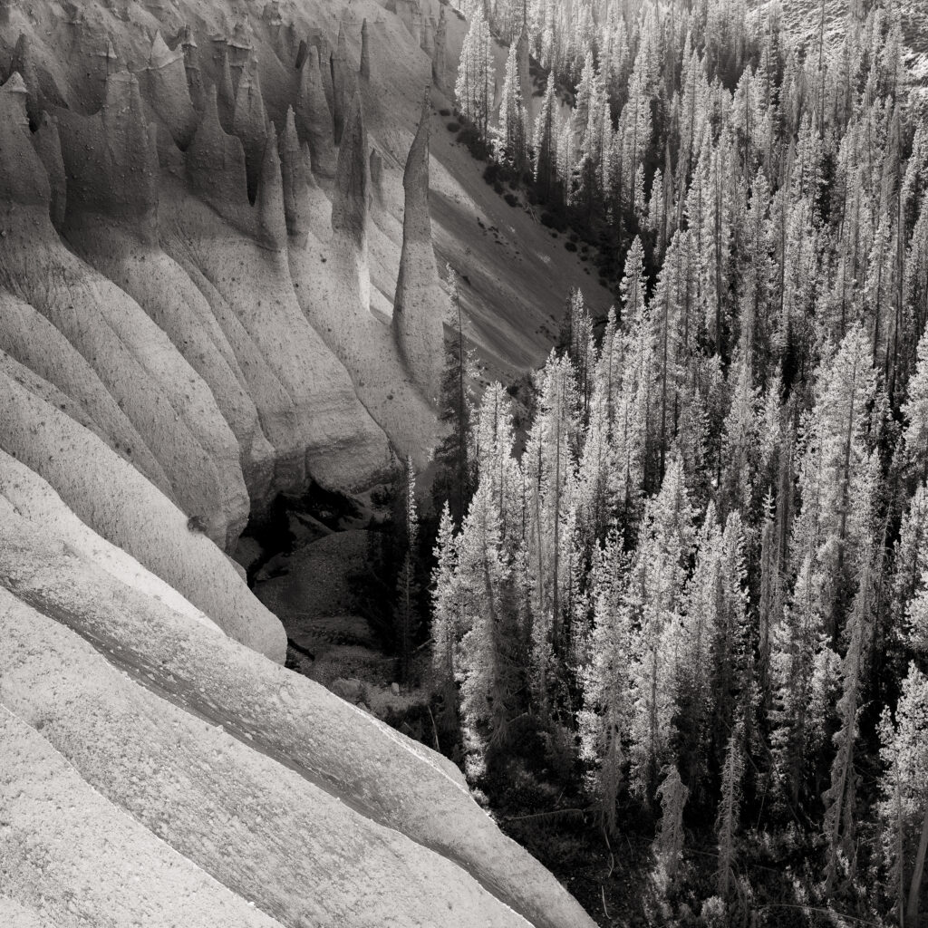 United States of America, Oregon, Crater Lake National Park. The Pinnacles, unusual formations in the Crater Lake National Park.