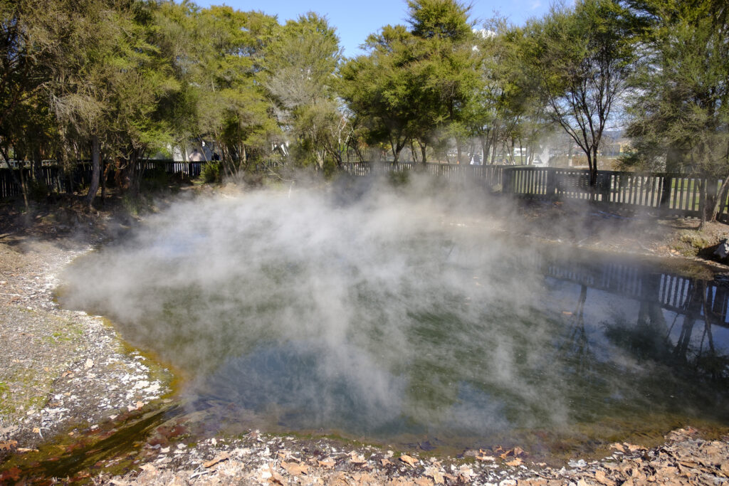 New Zealand, North Island, Kuirau Park. Kuirau Park is a nature park with geothermal foot baths, hot springs & scenic lake located in the heart of Rotorua.