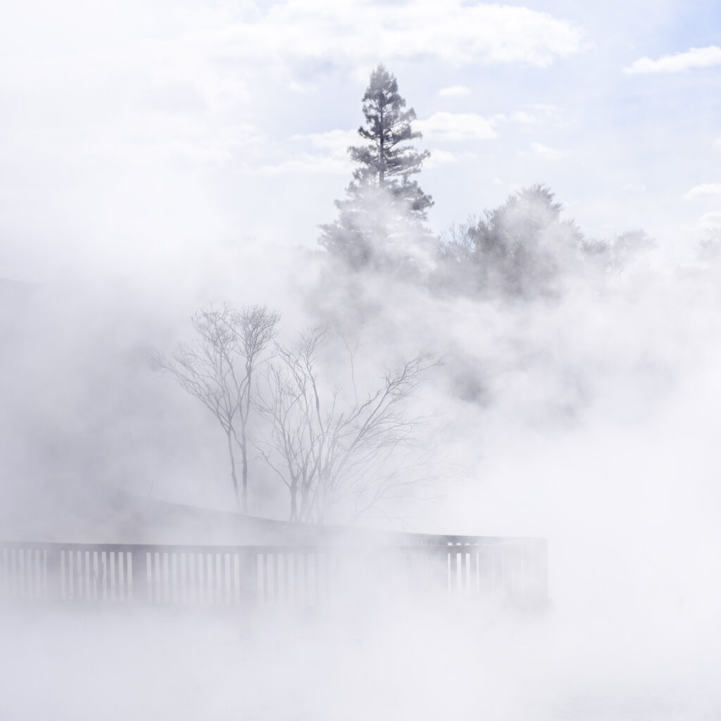 New Zealand, North Island, Kuirau Park. Kuirau Park is a nature park with geothermal foot baths, hot springs & scenic lake located in the heart of Rotorua.