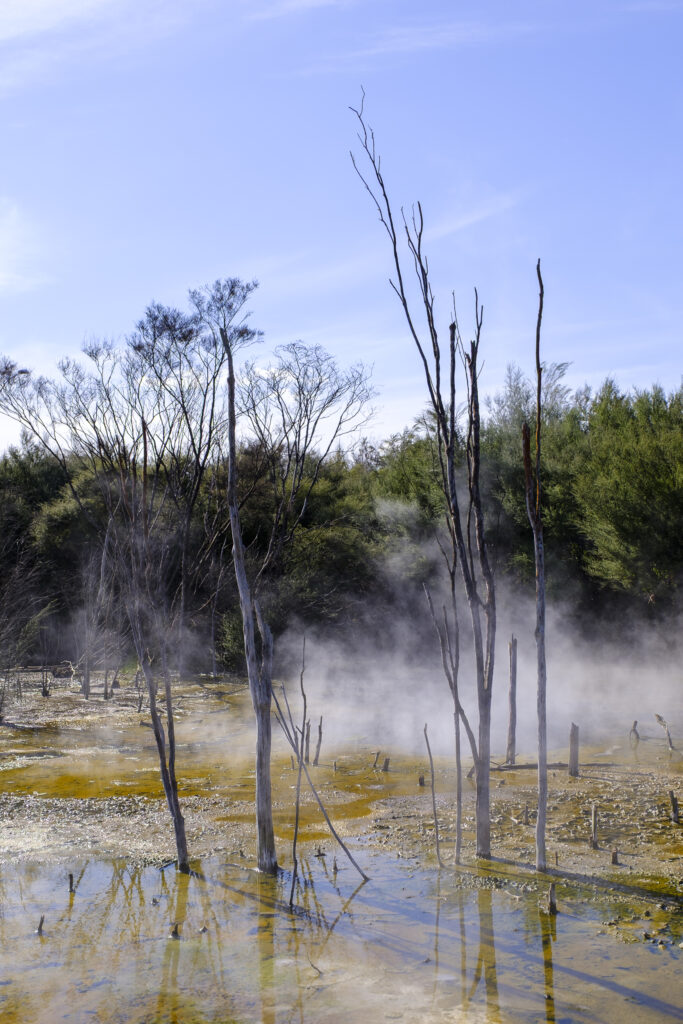 New Zealand, North Island, Kuirau Park. Kuirau Park is a nature park with geothermal foot baths, hot springs & scenic lake located in the heart of Rotorua.