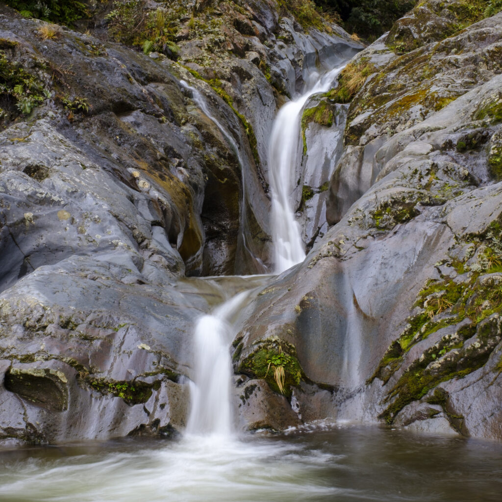 New Zealand, North Island, Egmont National Park. Wilkies Pool, a popular destination for a moderate walk in the national park.