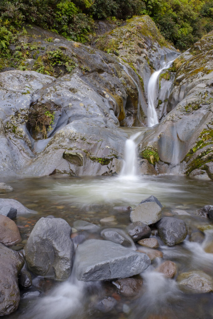 New Zealand, North Island, Egmont National Park. Wilkies Pool, a popular destination for a moderate walk in the national park.
