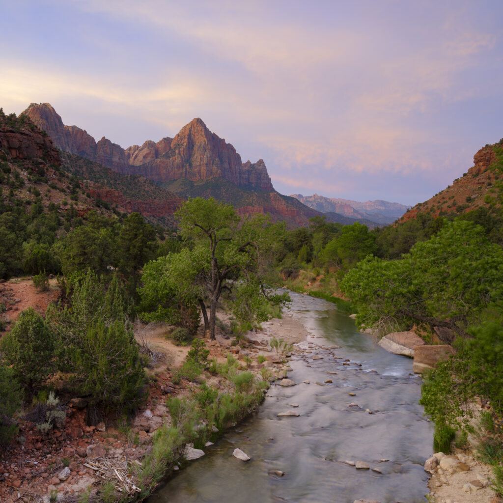 United States of America, Utah, Zion National Park. Dawn light hits the mountain known as 'The Watchman' in the Zion National Park.