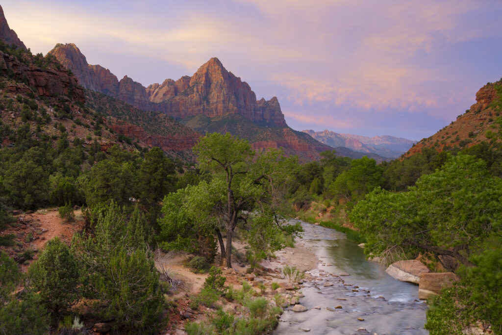 United States of America, Utah, Zion National Park. Dawn light hits the mountain known as 'The Watchman' in the Zion National Park.