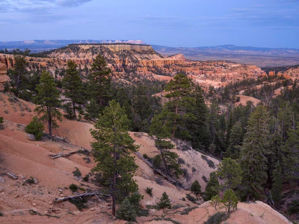 United States of America, Utah, Bryce Canyon National Park. Hoodoos dominate the landscape of the Bryce Amphitheater in the Bryce Canyon National Park.