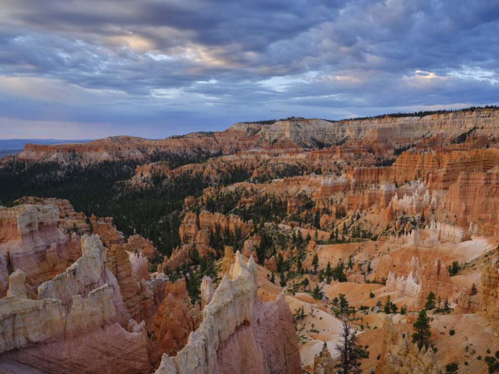 United States of America, Utah, Bryce Canyon National Park. Hoodoos dominate the landscape of the Bryce Amphitheater in the Bryce Canyon National Park.