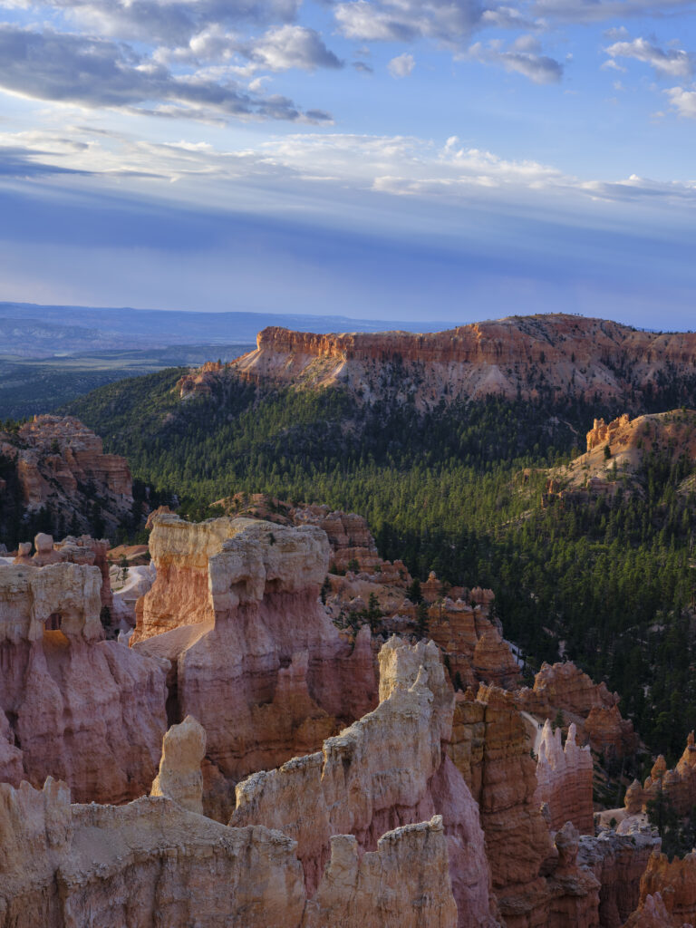 United States of America, Utah, Bryce Canyon National Park. Hoodoos dominate the landscape of the Bryce Amphitheater in the Bryce Canyon National Park.