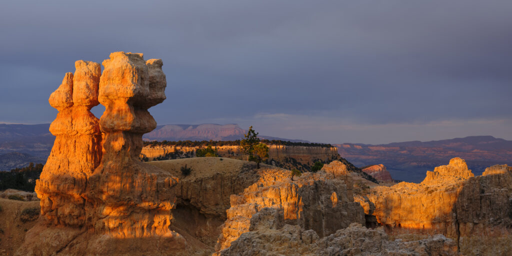 United States of America, Utah, Bryce Canyon National Park. Hoodoos dominate the landscape of the Bryce Amphitheater in the Bryce Canyon National Park.
