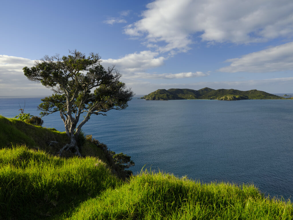 New Zealand, North Island, Matauri Bay. The picturesque Matauri Bay, near the Cavalli Islands - The final resting place of the Greenpeace Rainbow Warrior ship.