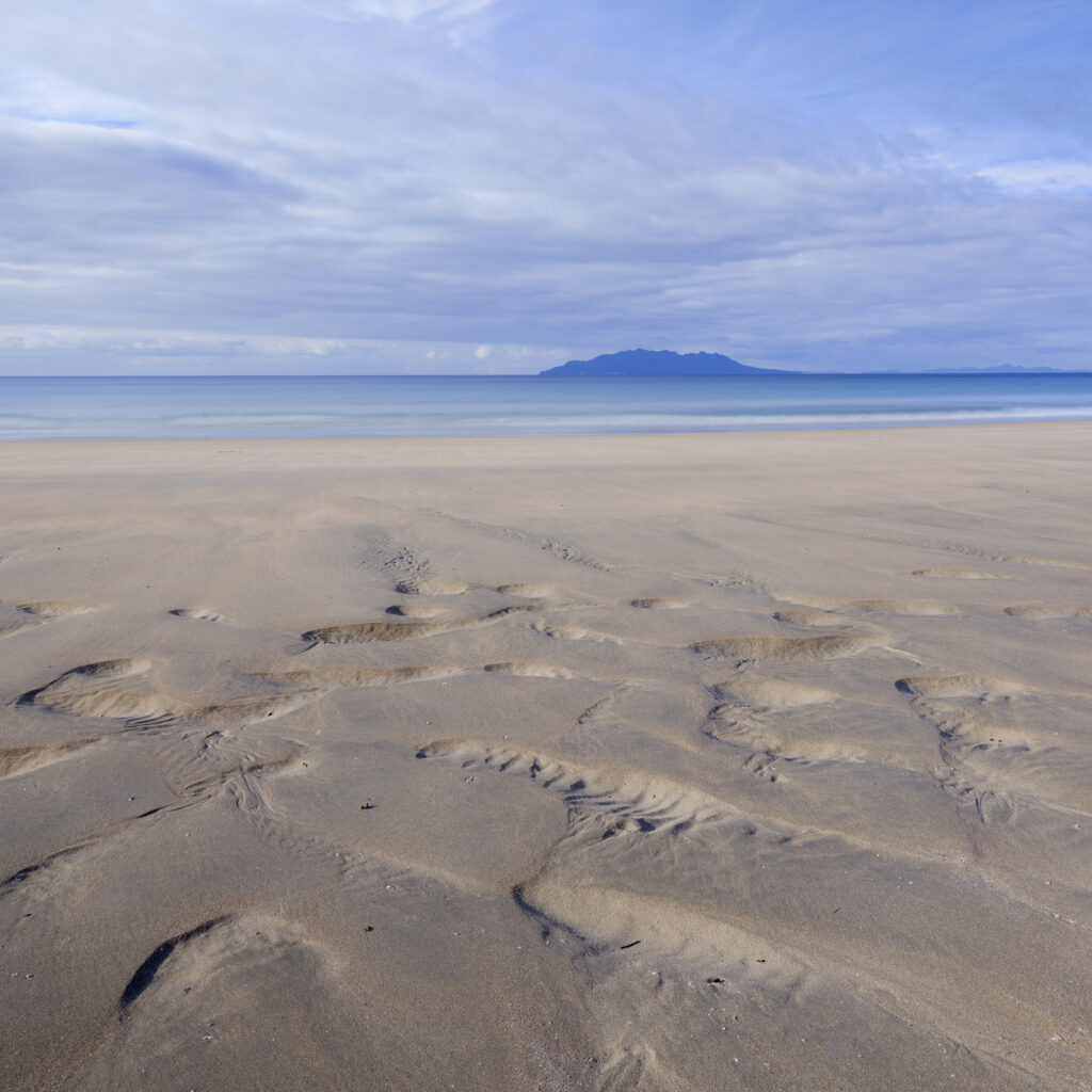 New Zealand, North Island, Tāwharanui Regional Park. Tawharanui beach and coastline, forming part of the Tāwharanui Open Sanctuary near Auckland.
