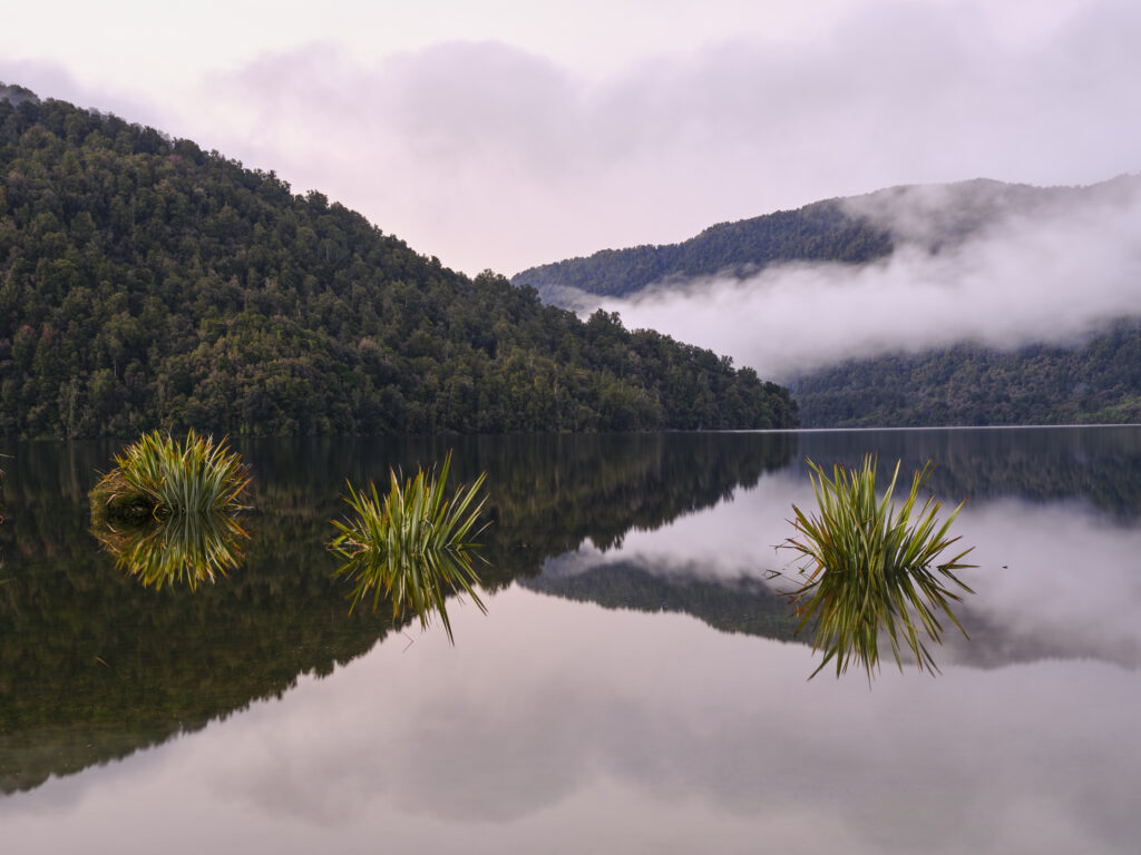 New Zealand, West Coast, Lake Paringa. Lake Paringa in the Te Wāhipounamu South West New Zealand World Heritage Area.