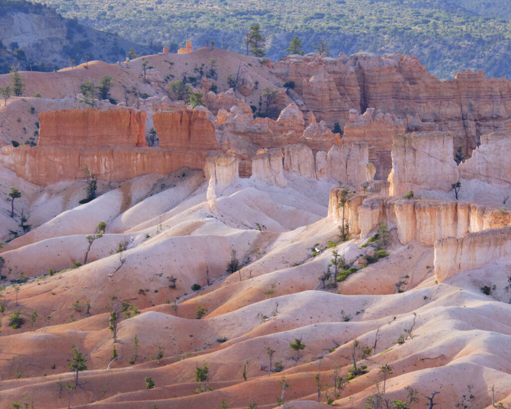 United States of America, Utah, Bryce Canyon National Park. Hoodoos dominate the landscape of the Bryce Amphitheater in the Bryce Canyon National Park.