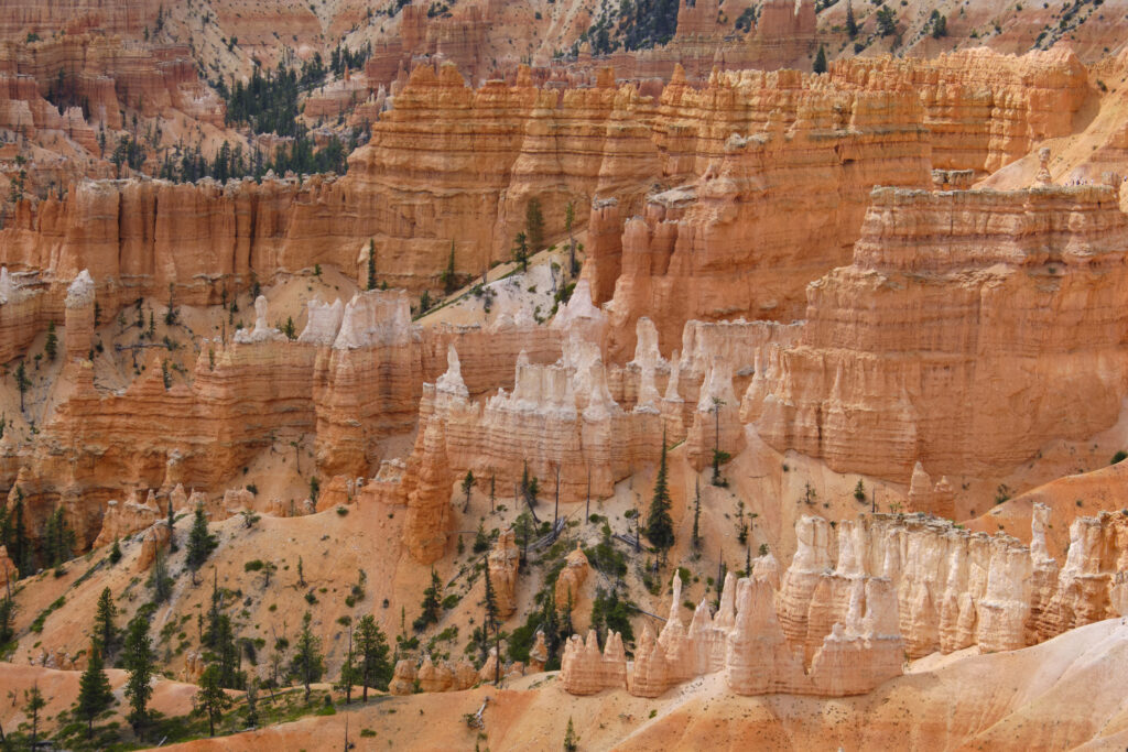 United States of America, Utah, Bryce Canyon National Park. Hoodoos dominate the landscape of the Bryce Amphitheater in the Bryce Canyon National Park.