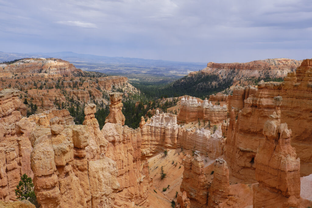United States of America, Utah, Bryce Canyon National Park. Hoodoos dominate the landscape of the Bryce Amphitheater in the Bryce Canyon National Park.