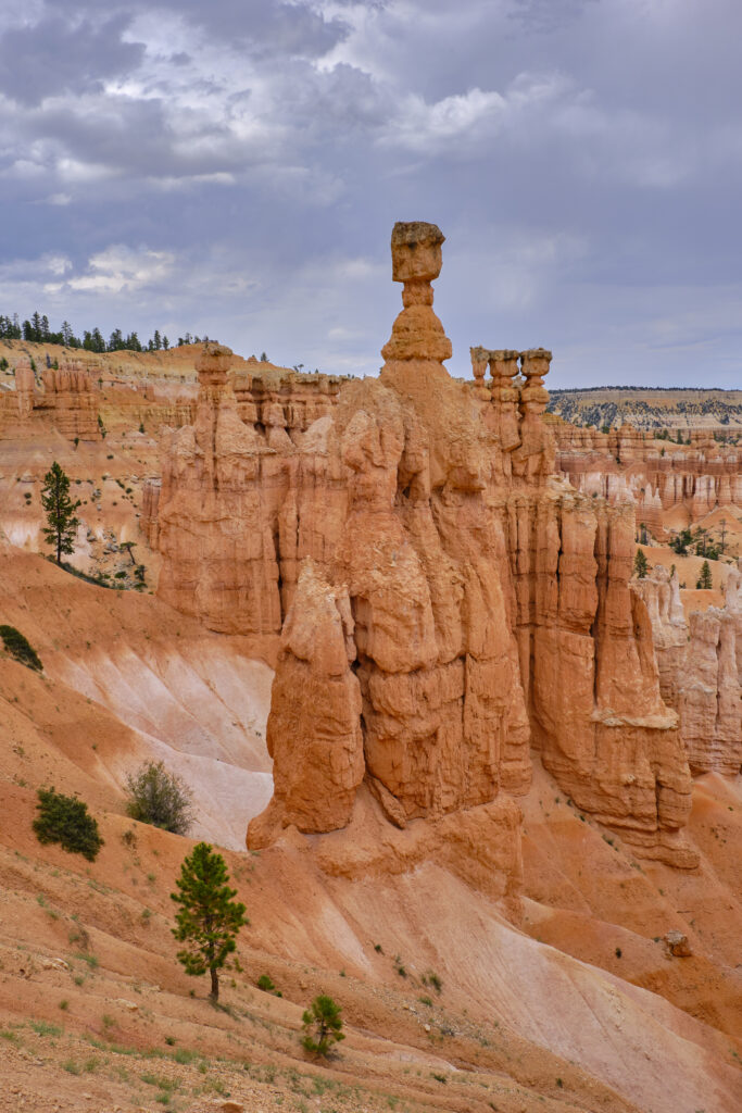 United States of America, Utah, Bryce Canyon National Park. Hoodoos dominate the landscape of the Bryce Amphitheater in the Bryce Canyon National Park.