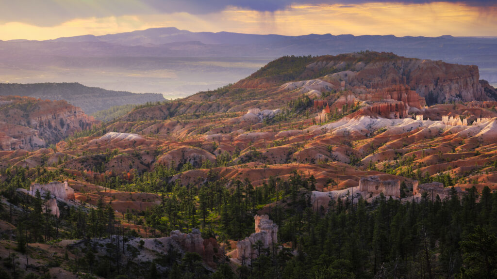 United States of America, Utah, Bryce Canyon National Park. Hoodoos dominate the landscape of the Bryce Amphitheater in the Bryce Canyon National Park.