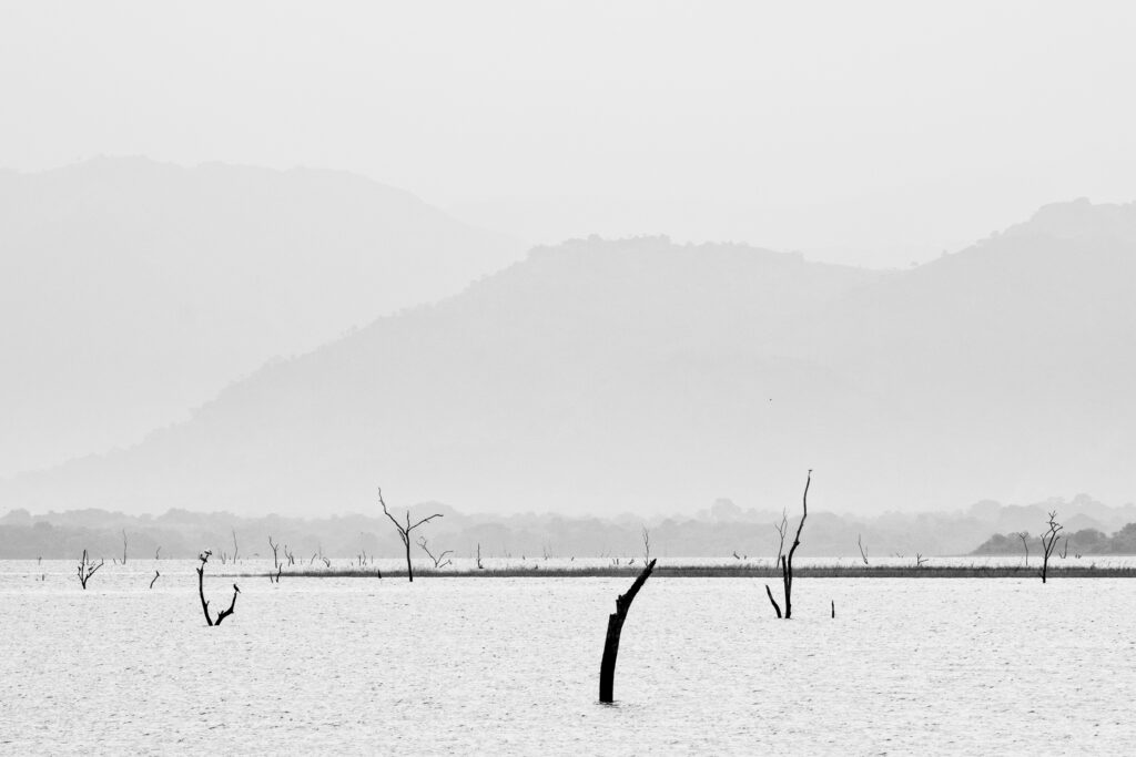 Sri Lanka, Ratnapura District, Udawalawa National Park. The wild landscape of the Udawalawa National Park.