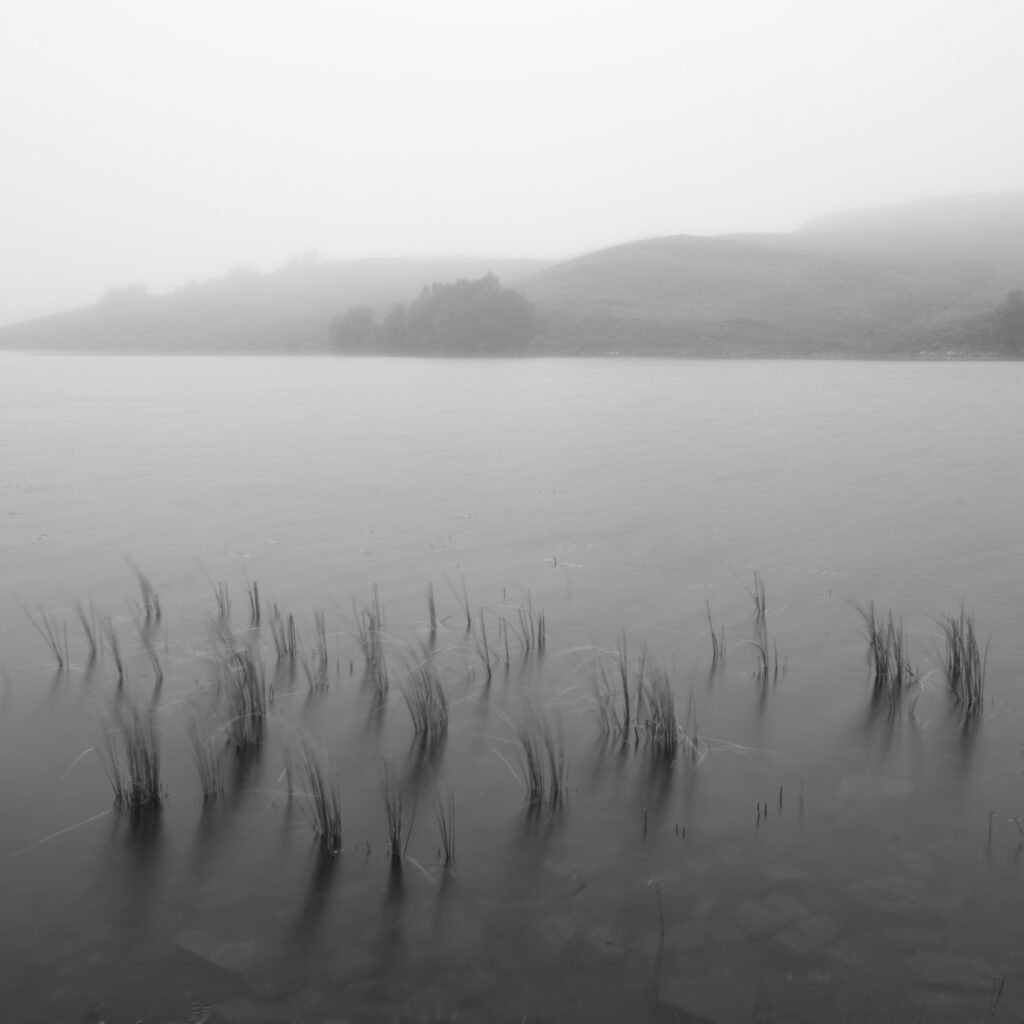 Scotland, Scottish Highlands, Loch Tarff. A misty morning at Loch Tarff, a small freshwater loch located near Loch Ness and Fort Augustus.