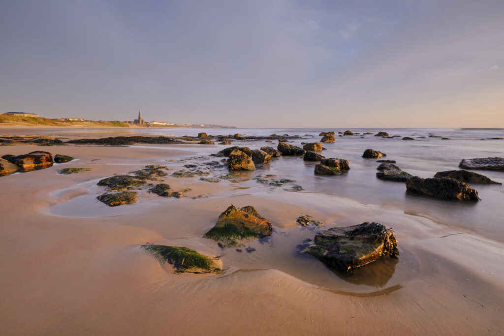 England, Tyne and Wear, Tynemouth. Looking north from Sharpness Point towards Cullercoats and Tynemouth Long Sands.