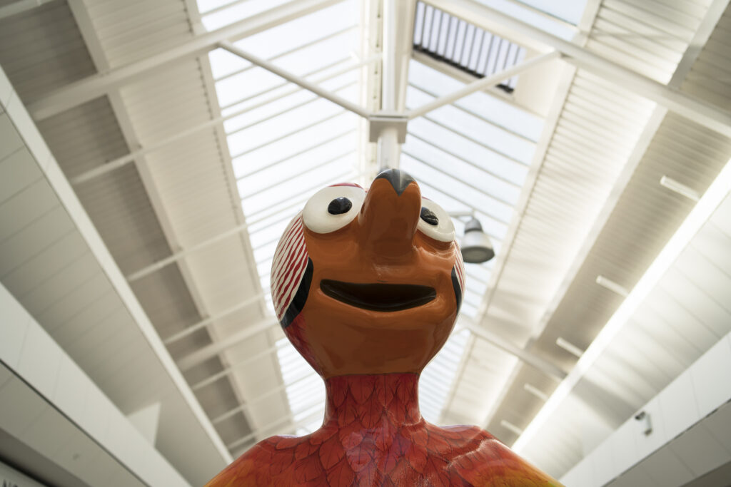 England, North Tyneside, Morph's Epic Art Adventure. In 2022, North Tyneside become the home to the world’s first-ever Morph art trail with twenty individually-designed, life-sized Morph sculptures being on display in Whitley Bay, Tynemouth, North Shields, Cullercoats, Wallsend, Killingworth and Forest Hall.