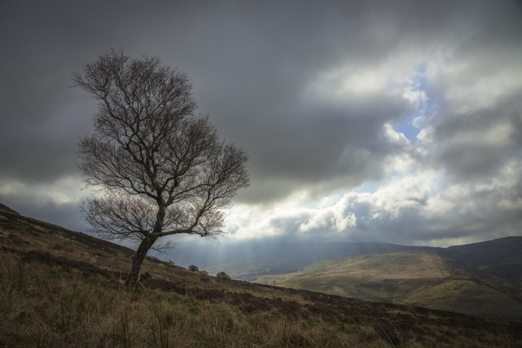 England, Northumberland National Park, Harthope Valley. Breaking light above the Cheviot Hills in the Harthope Valley.