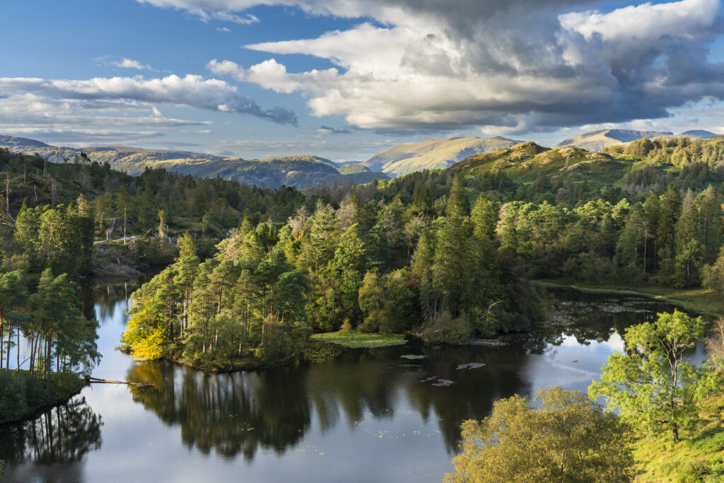 England, Cumbria, Lake District National Park. Tarn Hows a popular tourist destination once owned by Beatrix Potter and almost a totally artificial landmark.