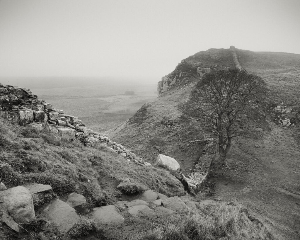 England, Northumberland, Hadrian's Wall. A misty morning at Sycamore Gap along Hadrians Wall, a world heritage site located within the Northumberland National Park.
