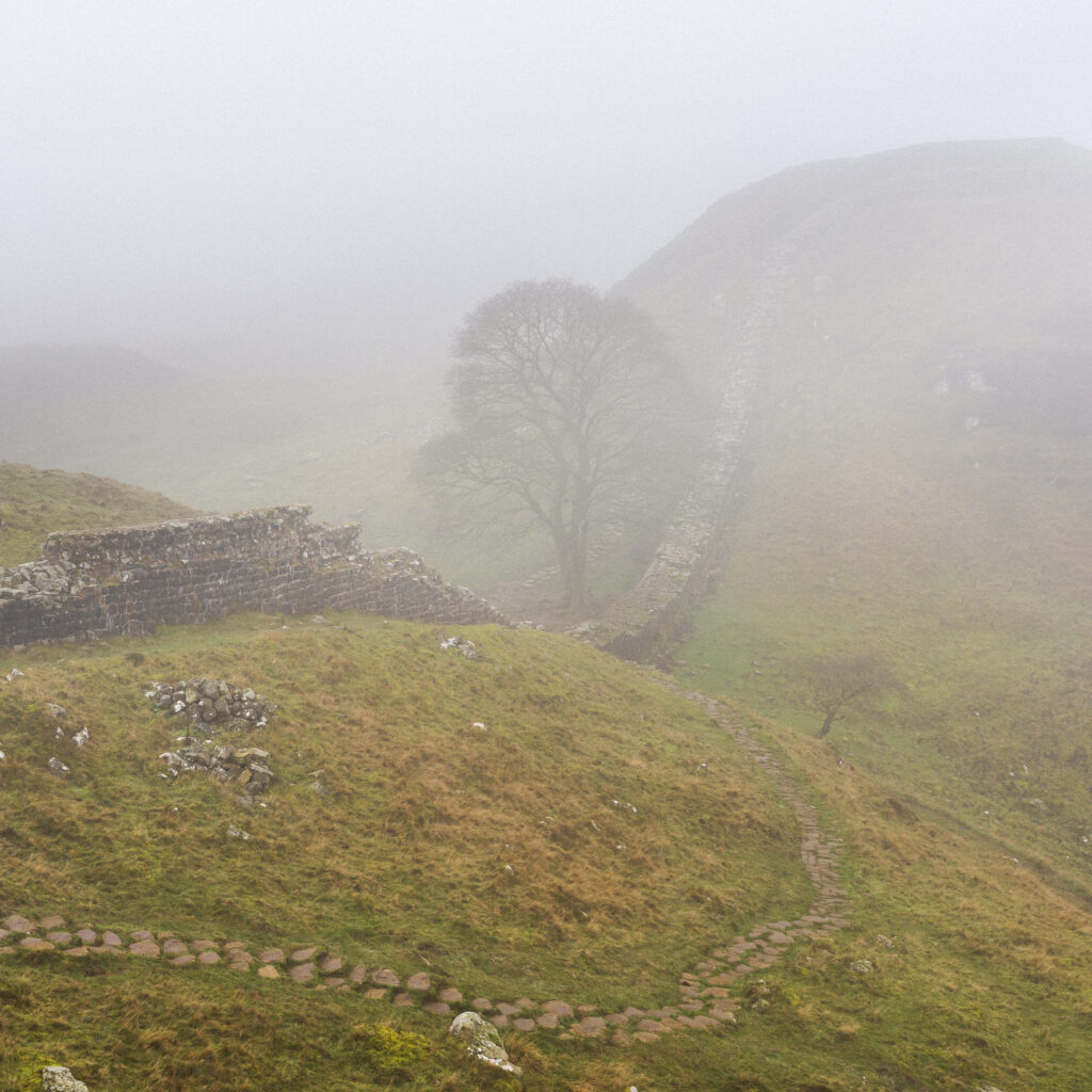 England, Northumberland, Hadrian's Wall. A misty morning at Sycamore Gap along Hadrians Wall, a world heritage site located within the Northumberland National Park.
