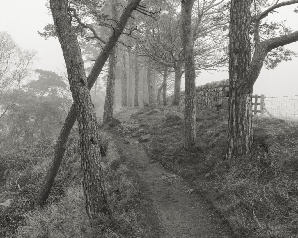 England, Northumberland, Hadrian's Wall. A misty morning along Hadrians Wall, a world heritage site located within the Northumberland National Park.