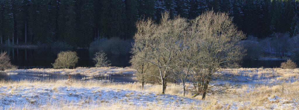 England, Northumberland, Kielder Water & Forest Park. The snow covered landscape of the Bakethin Nature Reserve (Conservation area) in Northern Kielder.