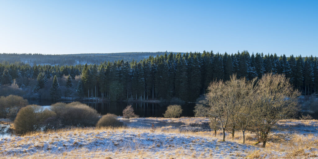 England, Northumberland, Kielder Water & Forest Park. The snow covered landscape of the Bakethin Nature Reserve (Conservation area) in Northern Kielder.